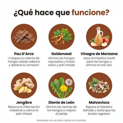 DermiClear™️  Alivia la Picazón y Equilibra la Flora Intestinal